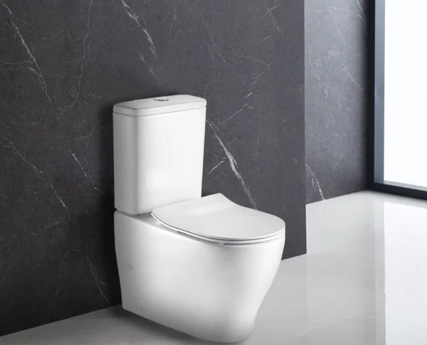 фото Унитаз безободковый Azario AZ-2154 с микролифтом